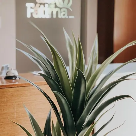 Coroa De